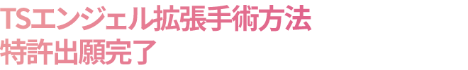 TSエンジェル拡張手術方法特許出願完了